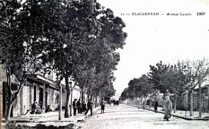 El-Guerrah - Avenue Cavallo -1907